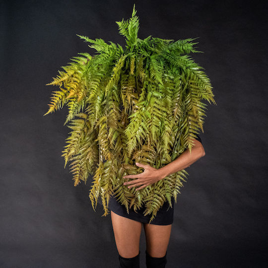 Supergreens Artificial Tree Pitchardia Green 150 Cm