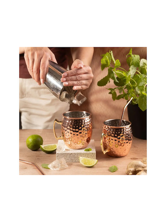 KING Hoff Set Gläser Cocktail/Trinken aus Edelstahl mit Strohhalm 500ml 2Stück