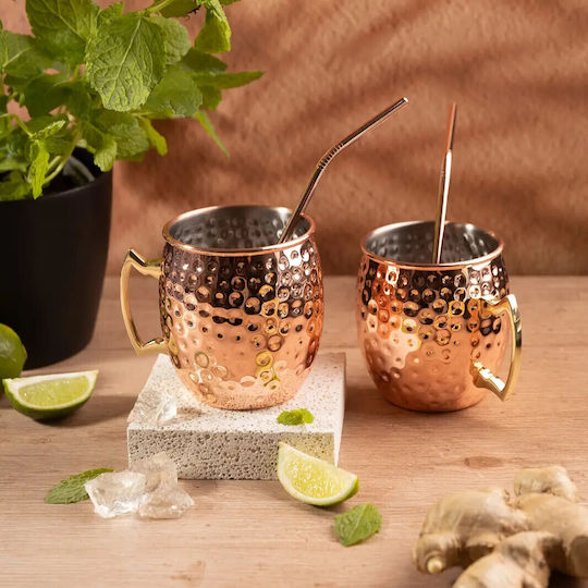 KING Hoff Set Gläser Cocktail/Trinken aus Edelstahl mit Strohhalm 500ml 2Stück