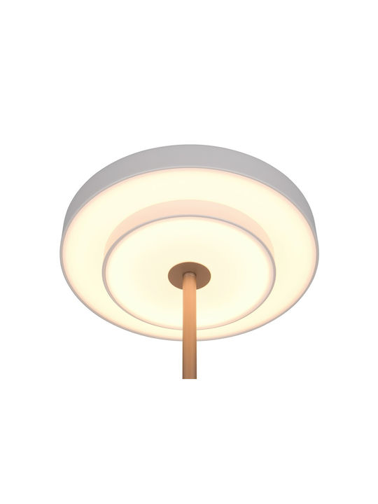 Trio Lighting Διακοσμητικό Φωτιστικό Keaton