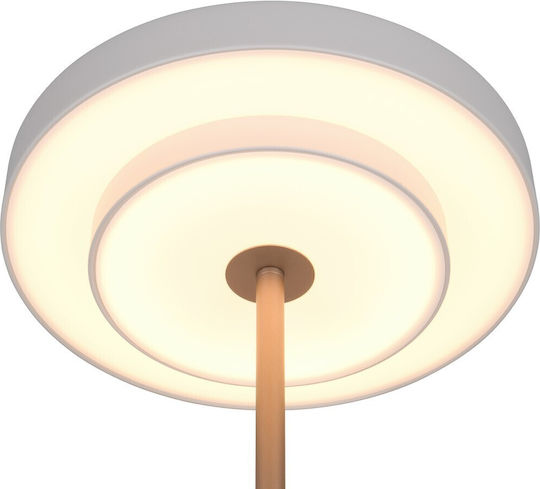 Trio Lighting Διακοσμητικό Φωτιστικό Keaton