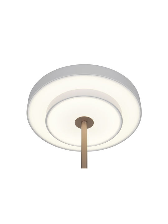 Trio Lighting Διακοσμητικό Φωτιστικό Keaton