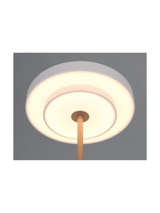 Trio Lighting Διακοσμητικό Φωτιστικό Keaton