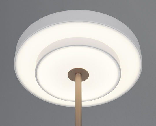 Trio Lighting Διακοσμητικό Φωτιστικό Keaton