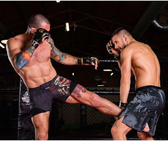 MMA-Handschuhe M Aureos Valor Serie
