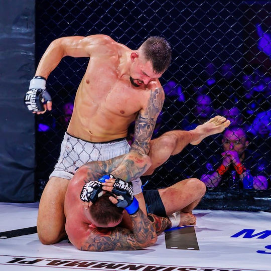 MMA Ръкавици Harmony Valor Series