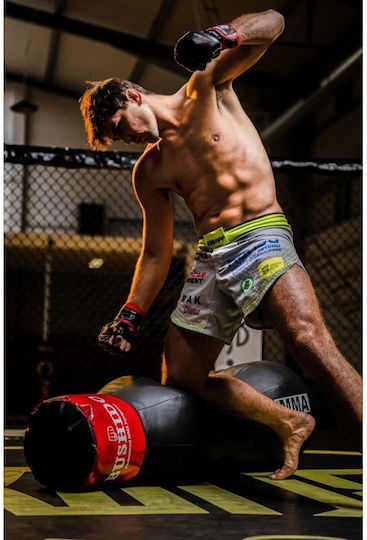 DBX Bushido MMA Ръкавици изкуствена кожа Черен