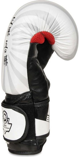 DBX Bushido Boxhandschuhe Leder für Kampf Weiß