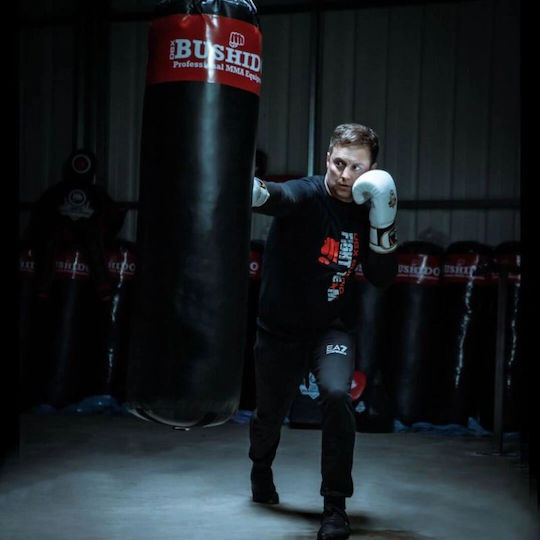 DBX Bushido Σάκος Μποξ 30kg Κόκκινος