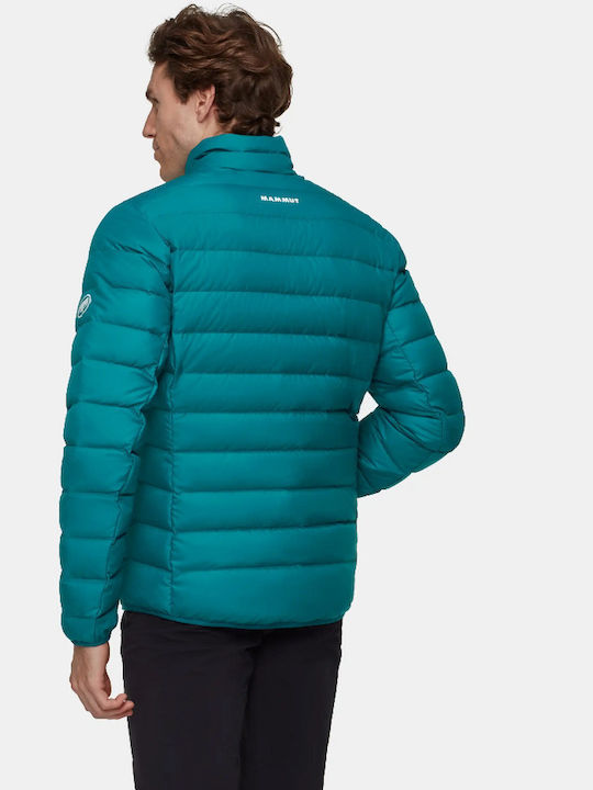 Mammut Mammut