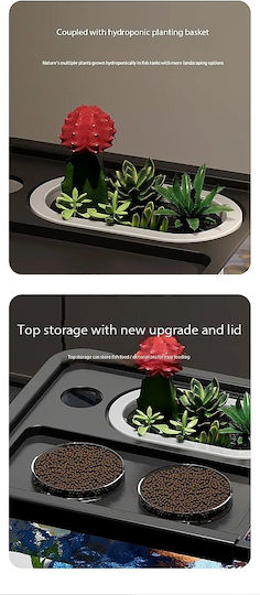Fish Aquarium Capacity 21lt with 47.5x21x21cm