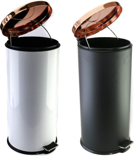 Viosarp Metallic Waste Bin with Pedal Copper 30lt