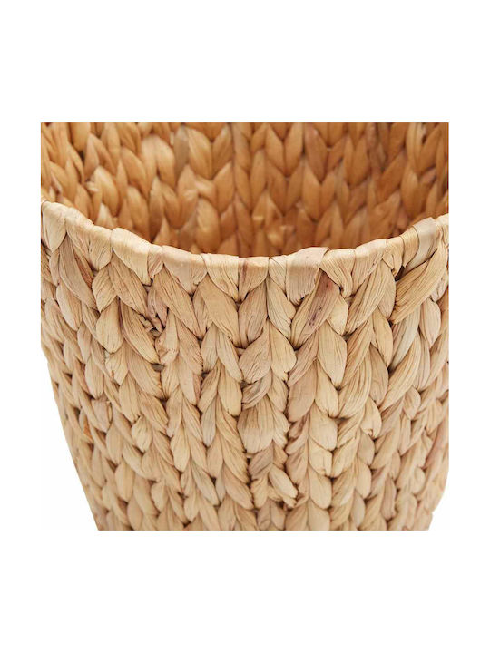 vidaXL Waste Bin Waste Plastic Brown 25x25x28.5cm 2pcs