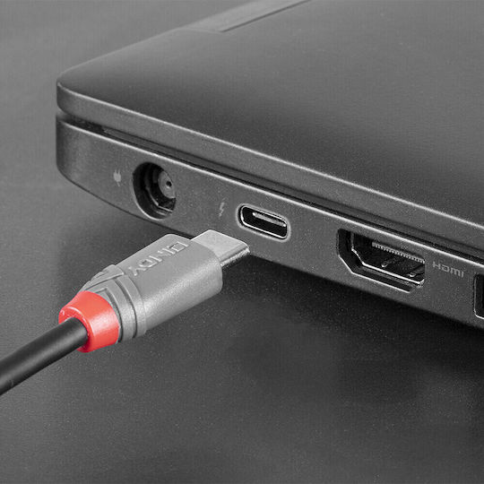 Lindy USB 2.0 Cable USB-C male - micro USB-A Μαύρο 0.5m 36890