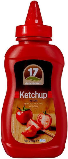 17 Delicatessen Ketchup 250gr