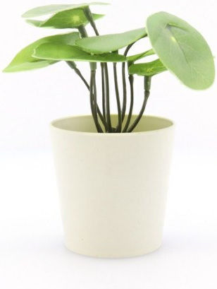 Artificial Potted Plant TnS Artificial Potted Plant TnS