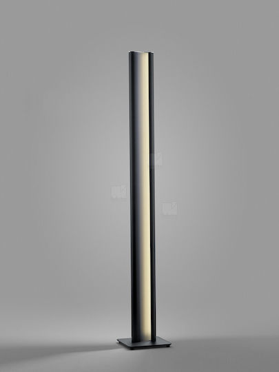 Helestra 271502
