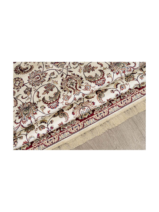Newplan Sonia 553/301440 Rug Rectangular with Fringes Burgundy