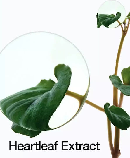 Anua Heartleaf 80% Anti-aging Serum Face with Hyaluronic Acid & Vitamin B5 30ml