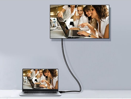 Equip Cable DisplayPort male - DisplayPort male 5m Μαύρο (119337)