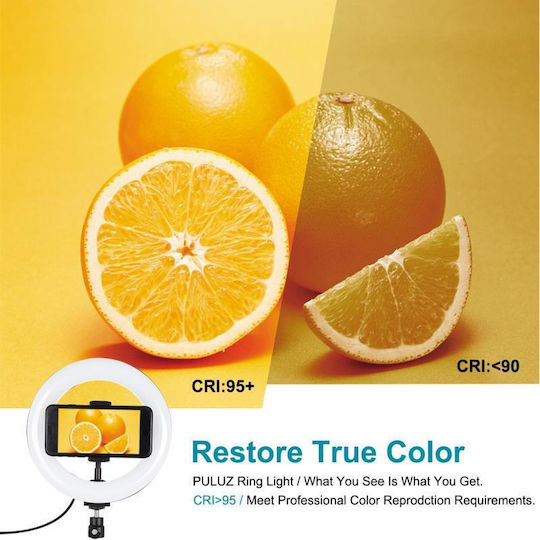 Puluz LED Ринг Лампа 20.066см и Пръстенова Светлина За Телефон
