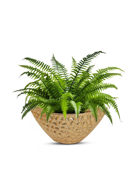 Harmony Doha Pot 59x23x27cm.