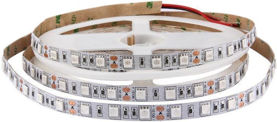 LED Strip 12V Red Light 5m Type SMD5050