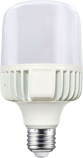 Diolamp LED Bulb 15W 127mm for Socket E27 and Shape T80 Warm White 1590lm