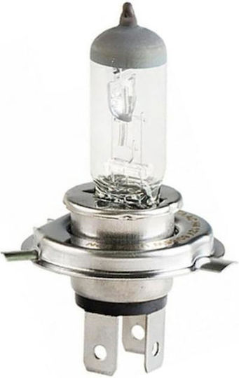 Sct Germany Λάμπα Αυτοκινήτου Basic H4 Αλογόνου 12V 55W 1τμχ