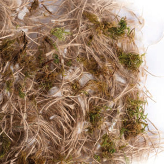 Sisal Fibre Φωλιά Πτηνών Fibre Jute Πράσινη