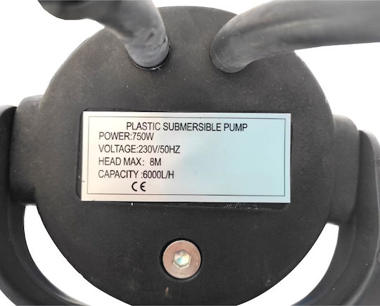 DDT Single-phase Water Pump 750W