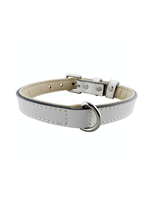 Pet Κολάρο Δερμάτινο σε Λευκό χρώμα 42cm Pet Κολάρο Δερμάτινο σε Λευκό χρώμα 42cm