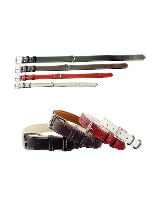 Pet Hundehalsband Leder in Weiß Farbe 42cm