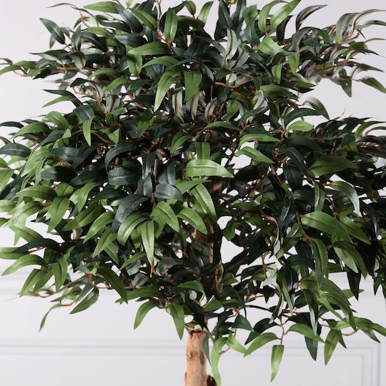 Supergreens Artificial Ruscus Tree Green 150 cm