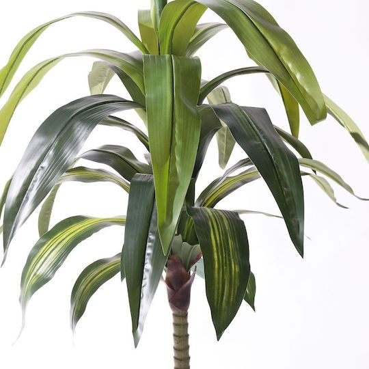 Supergreens Copac Artificial Dracaena Verde 170 Cm 6-0317