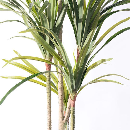 Supergreens Изкуствено Дърво Dracaena Anita Зелено 150 См 6-0829