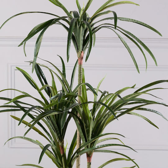 Supergreens Изкуствено Дърво Dracaena Anita Зелено 150 См 6-0829
