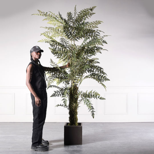 Supergreens Copac Artificial Ferigă 260 Cm 6-0828