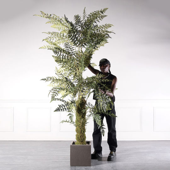 Supergreens Copac Artificial Ferigă 260 Cm 6-0828