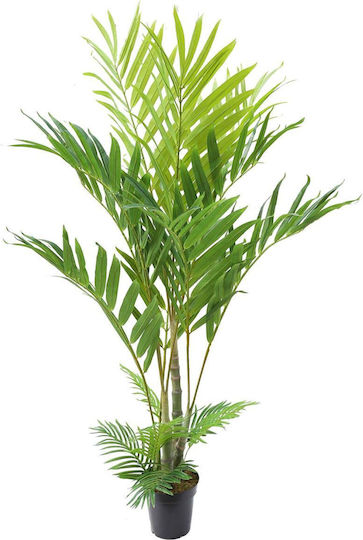 Supergreens Изкуствено Дърво Арахондофиникас Betel Regal Зелено 200 См 6-0822