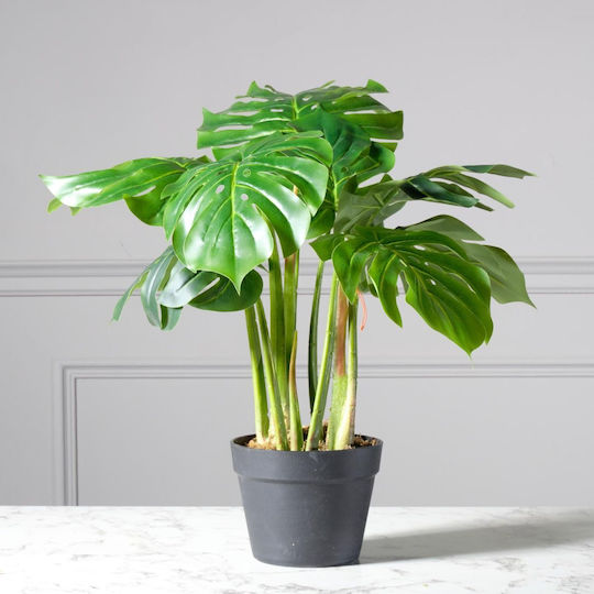 Supergreens Τεχνητό Φυτό Μονστέρα Deliciosa Tropic Πράσινο 80 Εκ 6-0534