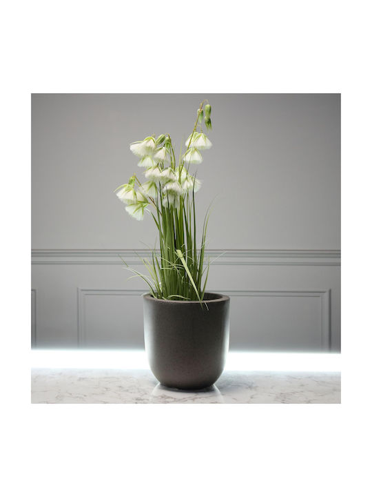 Τεχνητό Φυτό Τιμπουκίνα 2420-6 84cm Pink Supergreens Pvc