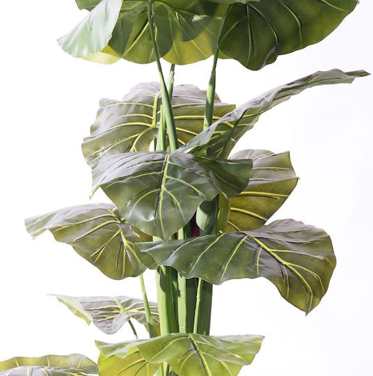 Arbore Artificial de Exterior Alocasia Green 170cm Supergreens