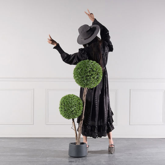 Πυξάρι Εξωτερικού Χώρου 120cm Supergreens