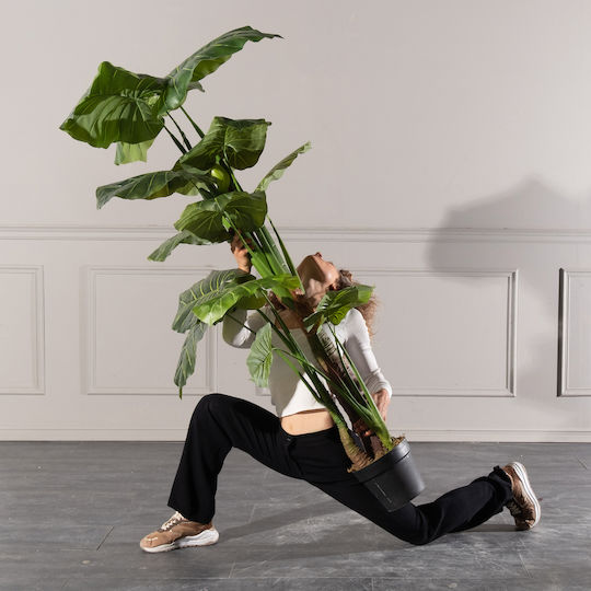Arbore Artificial de Exterior Alocasia Green 170cm Supergreens