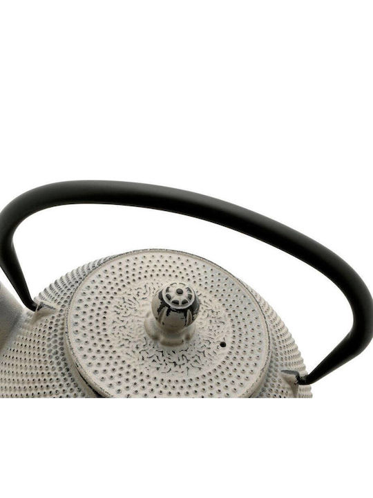 Bredemeijer Jang Teapot with Filter Cast Iron Gray 1100ml
