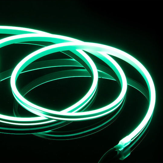 Ibiza Sound Banda LED Impermeabilă 12V RGB Lumină 5m Neon Flex cu Sursă de Alimentare și Telecomandă