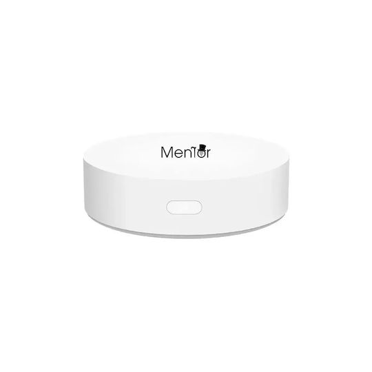 Electronică Valvă termostatică pentru radiatoare cu Wi-Fi pentru un site de comerț electronic pentru încălzirea corpului 8buc