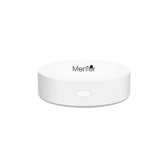 Electronică Valvă termostatică pentru radiatoare cu Wi-Fi pentru un site de comerț electronic pentru încălzirea corpului 7buc