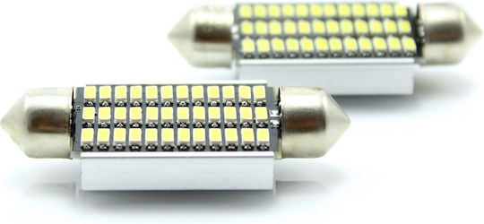 Set 1 Can119 LED Lampă Plafonieră Lumină Moale Plăcuțe Auto